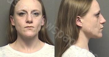 DEMEL,AMBER RACHELLE | 2021-01-14 14:32:00 Saline County, Kansas Booking