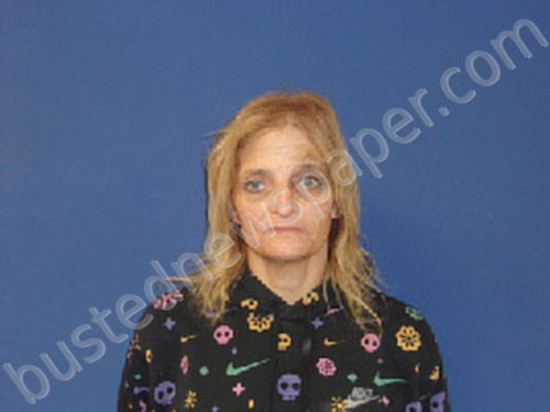 JOHNSON, KIMBERLY LEE #, Sampson County, North Carolina - 2021-01-14 13:05:00