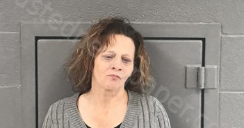 WHETSELL, KATHRYN SUZANNE | 2021-01-17 00:40:00 Preston County, West Virginia Booking
