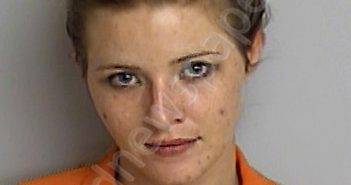 HENLEY, KATLIN MARIE | 2021-01-19 15:23:00 Bradford County, Florida Booking
