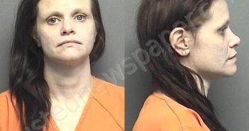 JOHNS,HEATHER DAWN | 2021-01-20 22:06:29 Saline County, Kansas Booking