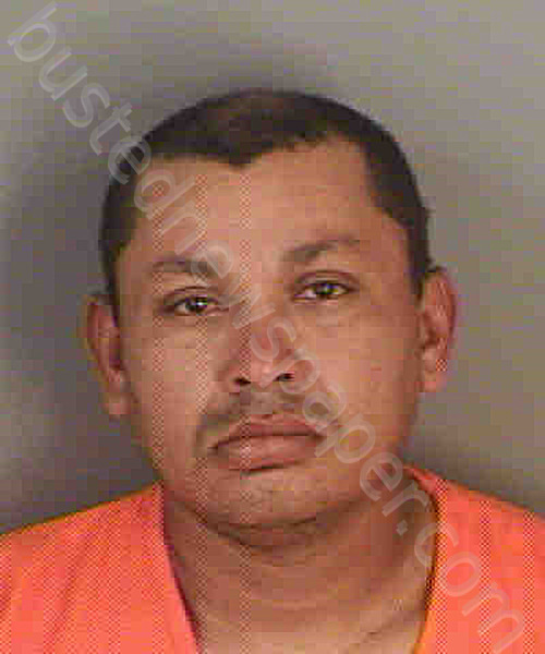 GALO,RONALD JOSE #, Collier County, Florida - 2021-01-20