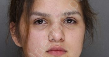 HERNANDEZ, ALEXIS MONIQUE | 2021-01-21 03:54:00 Ellis County, Texas Booking
