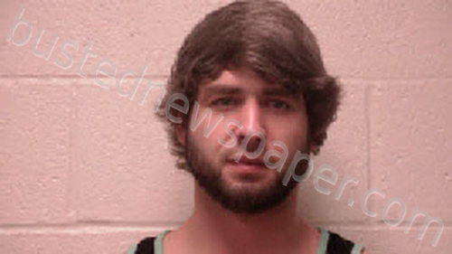 WARD, SKYLAR TRUMAN #, Robertson County, Tennessee - 2021-01-22 19:41:00