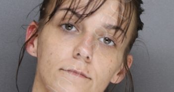 WEEKS, KAYLA RENEE | 2021-01-22 01:21:00 Ellis County, Texas Booking