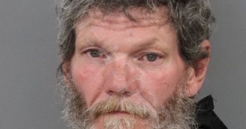HAMBY, WALLACE HAYNIE, JR | 2021-01-22 01:03:00 Anderson County, South Carolina Booking