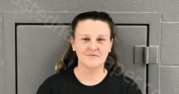 YOUNG, AMBER KAY | 2021-01-24 02:05:00 Preston County, West Virginia Booking