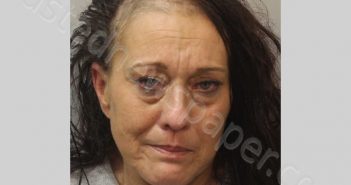 SIEGEL, WINDY J | 2021-01-25 Leon County, Florida Booking