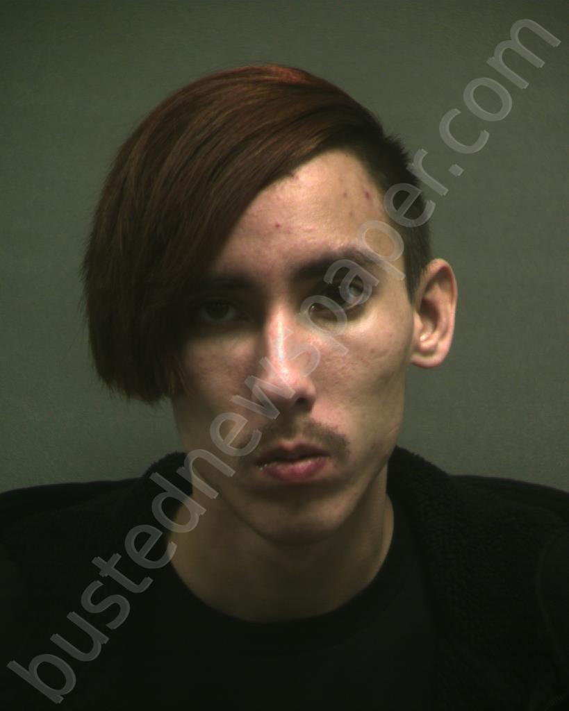 ROGERS, DAVID ALEXANDER #, Randall County, Texas - 2021-01-25