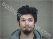 PUENT, ARIEL | 2021-01-25 Harnett County, North Carolina Booking