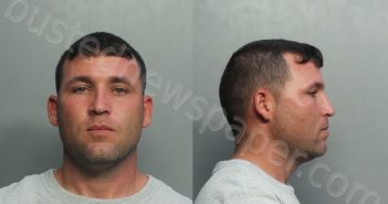 SANTANAAJO, ELVIS | 2021-01-26 20:33:00 Miami-Dade County, Florida Booking