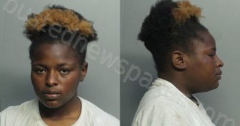 MITCHELL, VERTIA RONESHA | 2021-01-26 21:44:00 Miami-Dade County, Florida Booking