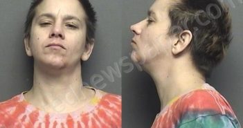 TONEY,LESLIE KAY | 2021-01-27 11:06:00 Saline County, Kansas Booking