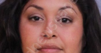 <B>GONZALEZ</B>, <B>MELISSA</B> <B>ISABEL</B> #, Polk County, Florida - 2021-01-27