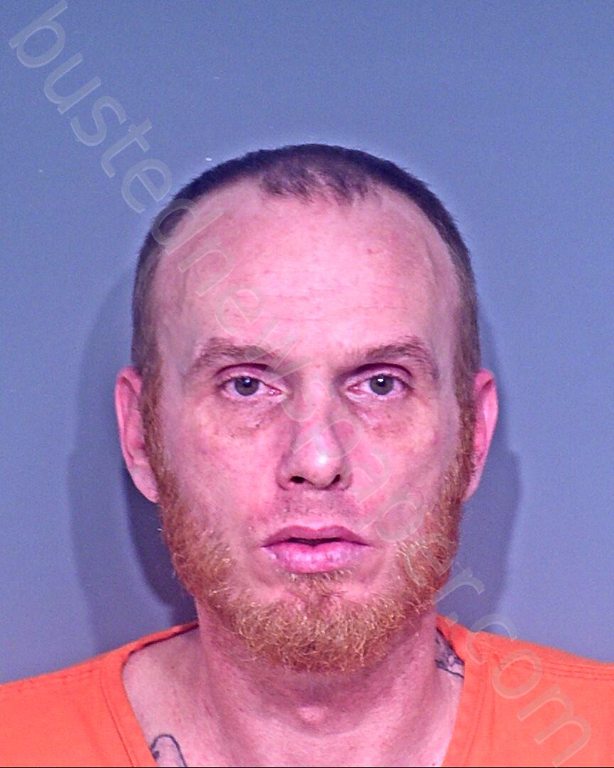 PHILLIPS, CHRISTOPHER DANIEL #, Baldwin County, Alabama - 2021-01-27 01:11:00