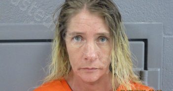 COLLINS, ROBIN RENEE | 2021-01-29 13:25:00 Preston County, West Virginia Booking