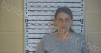 WOODY, DELISA L | 2021-01-31 21:03:00 Taylor County, Kentucky Booking