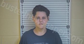 VITTITOE, KAYLA E | 2021-01-31 21:51:00 Taylor County, Kentucky Booking