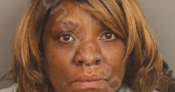 GEGEANIS, PATRICIA JOYCE | 2021-02-01 18:17:00 Jefferson County, Alabama Booking