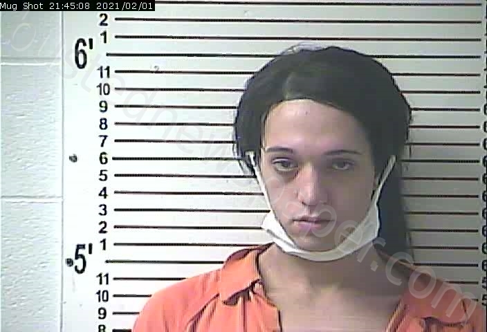 HODGE, DAYMEN TERRELL #, Hardin County, Kentucky - 2021-02-01 21:16:00