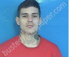 JAMES MILES | 2021-02-03 19:17:00 Sullivan County, Tennessee Booking