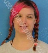 BRITTNEY CONNER | 2021-02-03 14:43:00 Sullivan County, Tennessee Booking