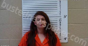 BRYANT, HALEY RASHAE | 2021-02-04 18:15:00 Cherokee County, North Carolina Booking