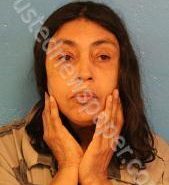 MONA LISA MORRIS | 2021-02-04 15:53:00 Sullivan County, Tennessee Booking