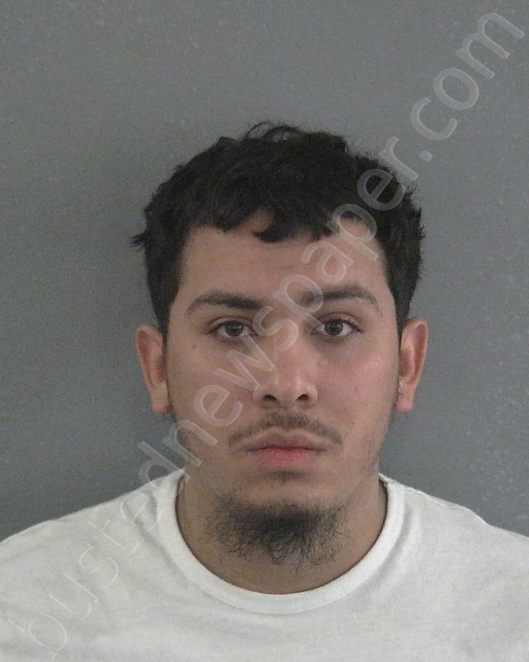DE LEON, MICHAEL NAVEIRA #, Sumter County, Florida - 2021-02-04 20:05:00