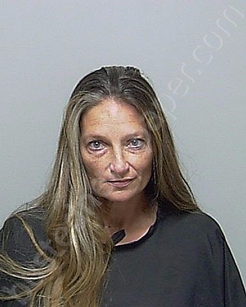 TILLMAN, JESSIE LYNN #, Putnam County, Florida - 2021-02-05 11:36:00
