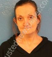 CRISSY FLEMING | 2021-02-05 12:20:00 Sullivan County, Tennessee Booking