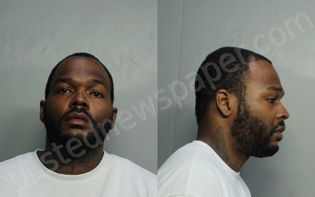 GREG, HARLEY #, Miami-Dade County, Florida - 2021-02-06 00:28:00