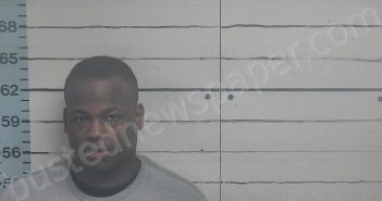 <B>WILLIAMS</B>, <B>RAYMOND</B> <B>TERRELL</B> #, Desoto County, Mississippi - 2021-02-06 08:59:07