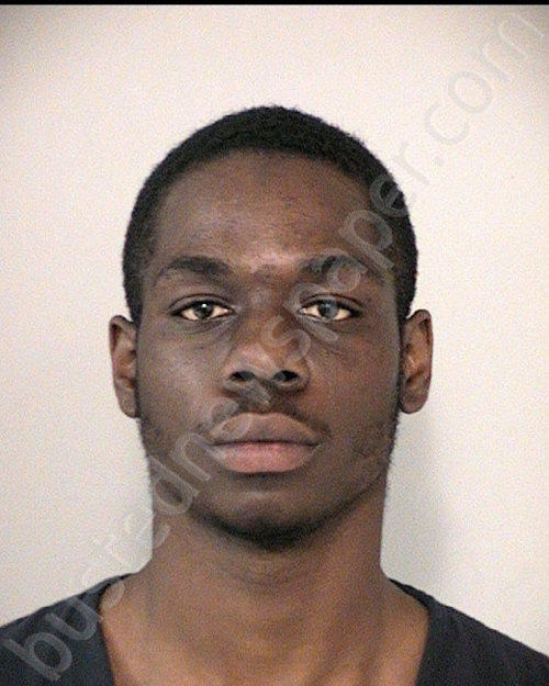 GIRTMAN,TELELOWIN EROY II #, Fort Bend County, Texas - 2021-02-09 22:57:00