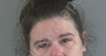 JOHNSON, REBECCA ANN | 2021-02-10 11:32:00 Sumter County, Florida Booking