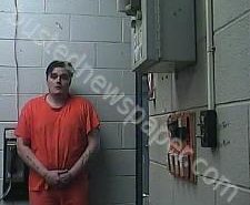 <B>TOMMY</B> <B>ROMERO</B> #, Cocke County, Tennessee - 2021-02-11 15:04:00