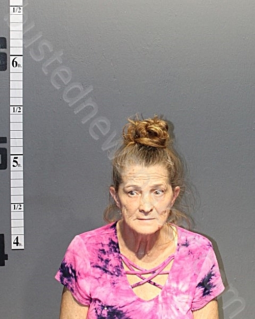 JONES, JOYCE ANN #, Western Tidewater, Virginia - 2021-02-16 18:20:00