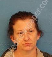 CYNTHIA ROBERTSON | 2021-02-17 15:38:00 Sullivan County, Tennessee Booking