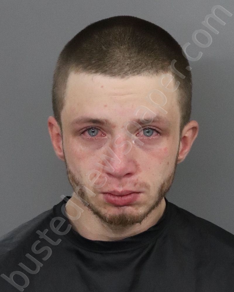 MALONE, JOHN DYLAN #, Anderson County, South Carolina - 2021-02-18 14:23:00