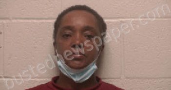 <B>LEAVELL</B>, <B>JACQUELINE</B> <B>ROCHELLE</B> #, Robertson County, Tennessee - 2021-02-18 03:57:00