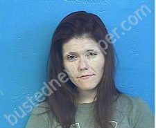 KATELYN DUNCAN | 2021-02-19 06:31:00 Sullivan County, Tennessee Booking