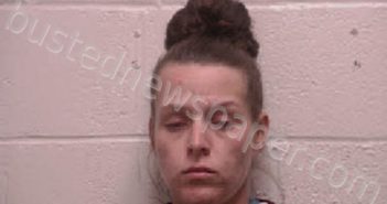 RAMSEY, DANA RENEA | 2021-02-19 17:14:00 Robertson County, Tennessee Booking
