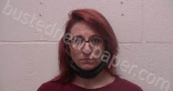 NEWHOUSE, JESSICA FAYE | 2021-02-21 16:54:00 Robertson County, Tennessee Booking
