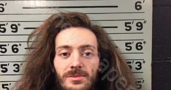<B>WELYCZKO</B>, <B>ALEC</B> <B>SEBASTIAN</B> #, Transylvania County, North Carolina - 2021-02-22 20:06:00