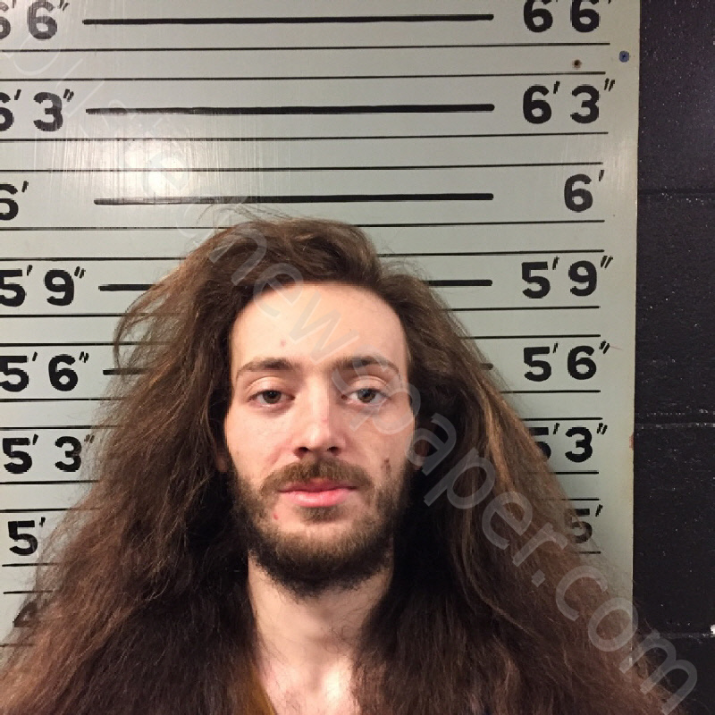 WELYCZKO, ALEC SEBASTIAN #, Transylvania County, North Carolina - 2021-02-22 20:06:00