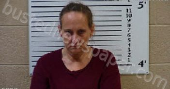 RAMSEY, HEATHER NICOLE | 2021-02-23 13:22:00 Cherokee County, North Carolina Booking