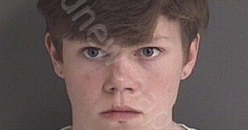LYKINS, LOGAN MATTHEW | 2021-02-23 Story County, Iowa Booking