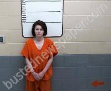 HAYLEY WARD | 2021-02-24 22:26:00 Morgan County, Tennessee Booking