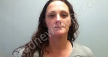 WATKINS, LISA MARIE | 2021-02-24 13:44:00 Lee County, North Carolina Booking