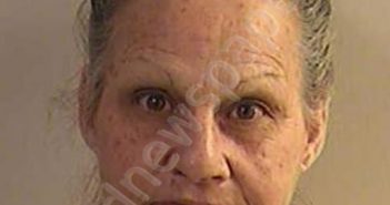 TAYLOR, GERALDINE DAWNA | 2021-02-24 18:35:00 Dickinson County, Kansas Booking